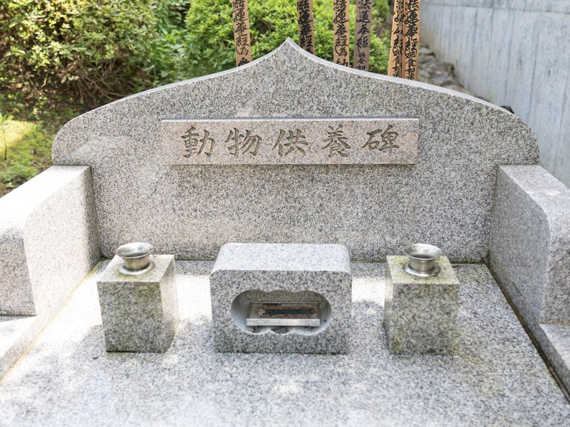 妙経寺