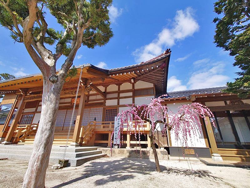 龍善寺 のうこつぼ