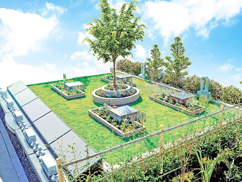 菩提樹の下で眠る和