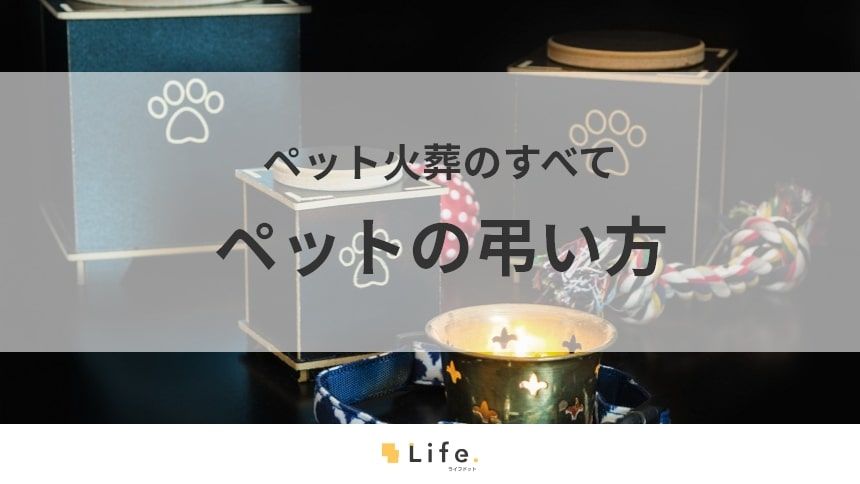 【ペット火葬】アイキャッチ画像