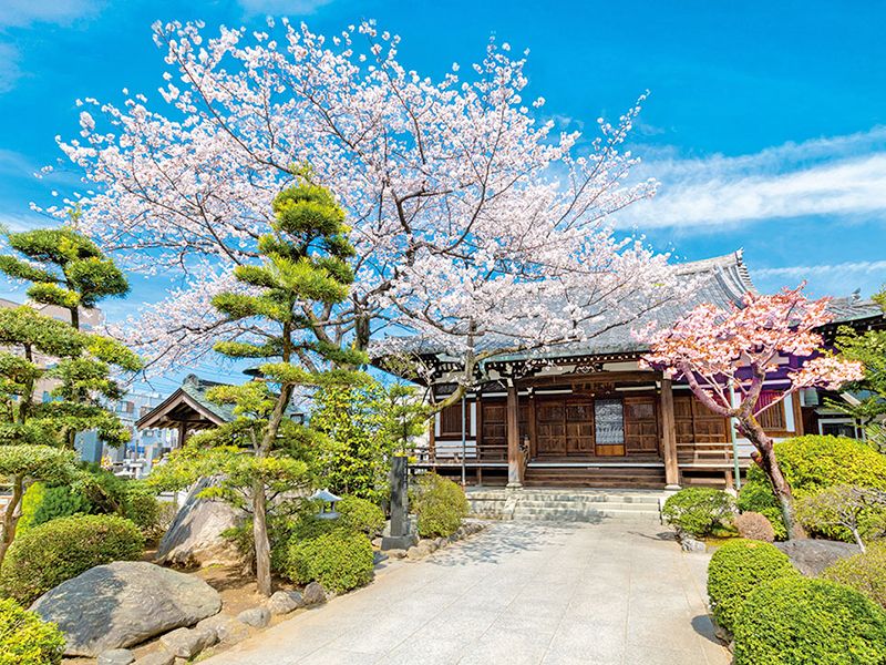 満願寺 永代供養墓・樹木葬
