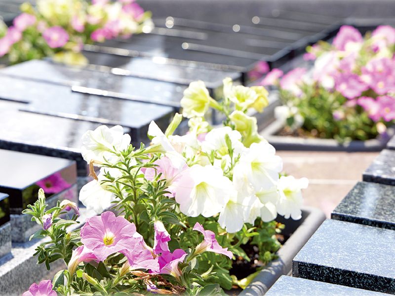 海福寺 樹木葬 杏樹