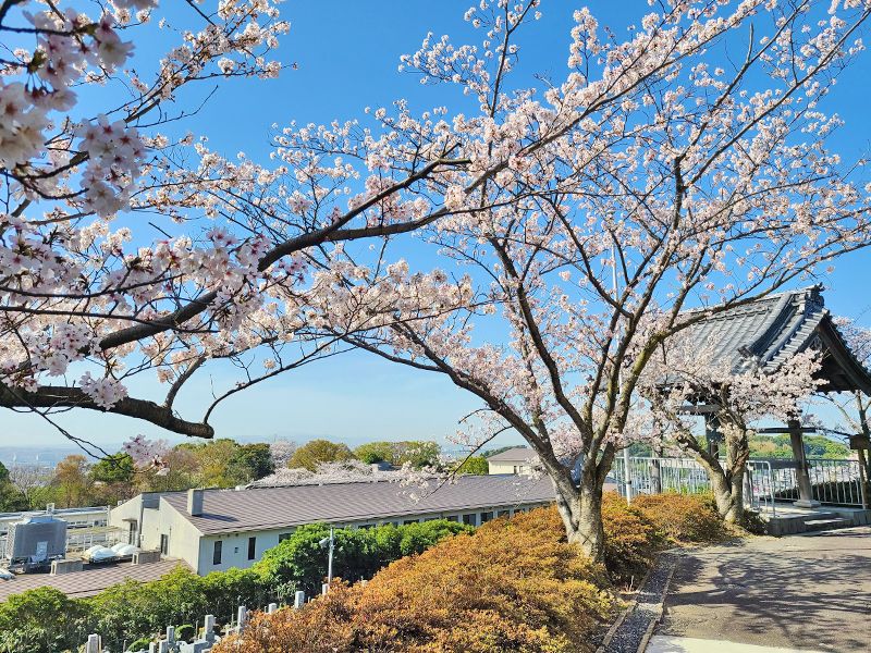 京都桃山霊苑