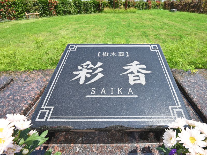 彩光浄苑