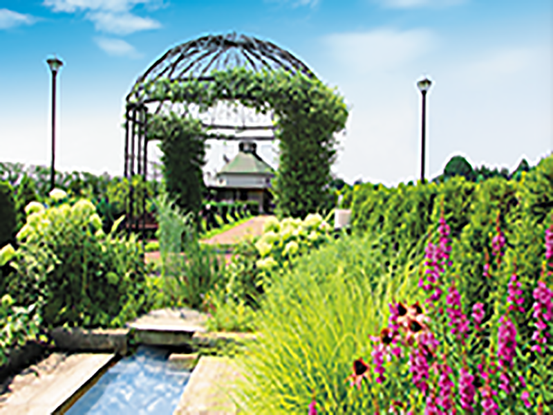 とうぶ若葉園　草花に囲まれた園内風景