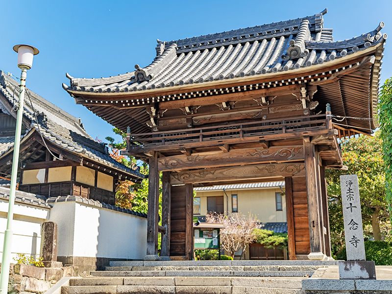 十念寺霊園 樹木葬・永代供養墓