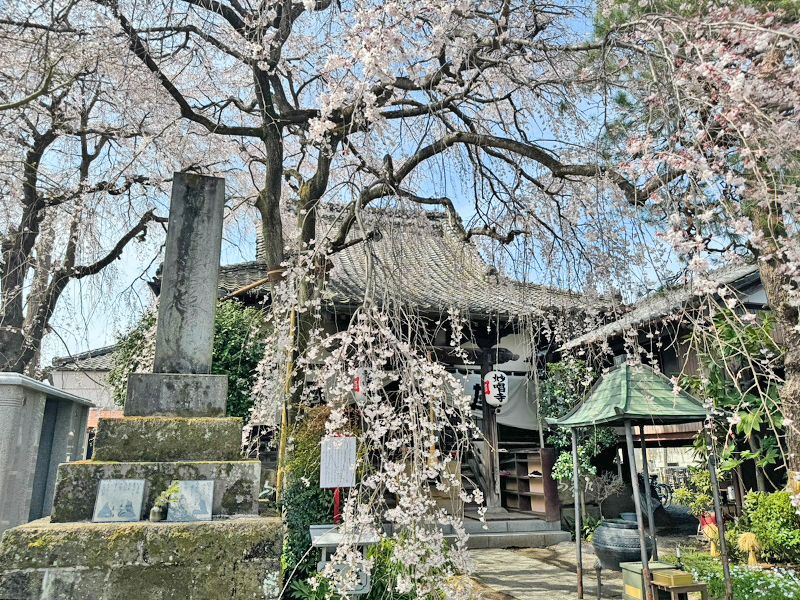 栃木 妙唱寺アルヴェアージュ