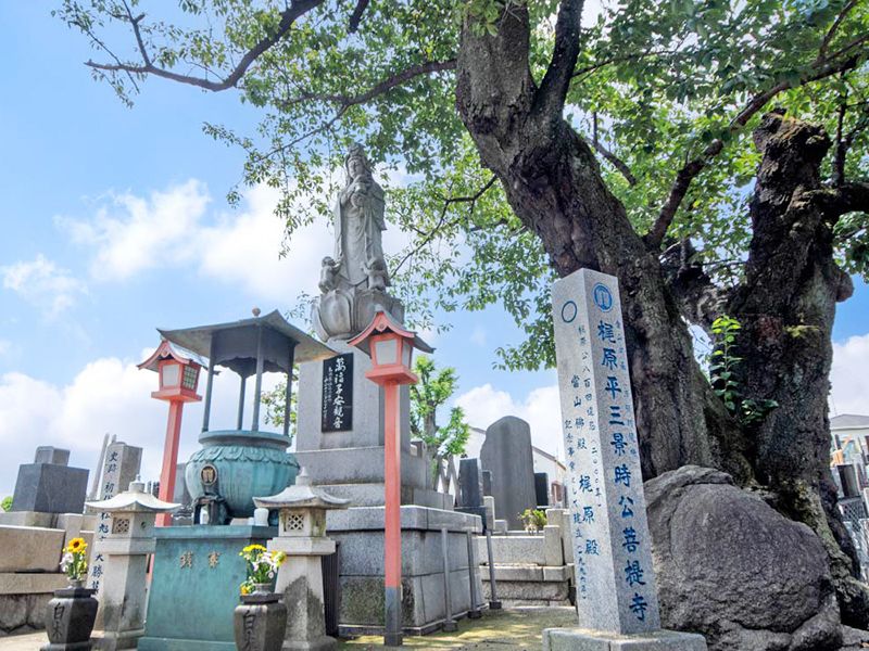 寺院入口の石碑と大木