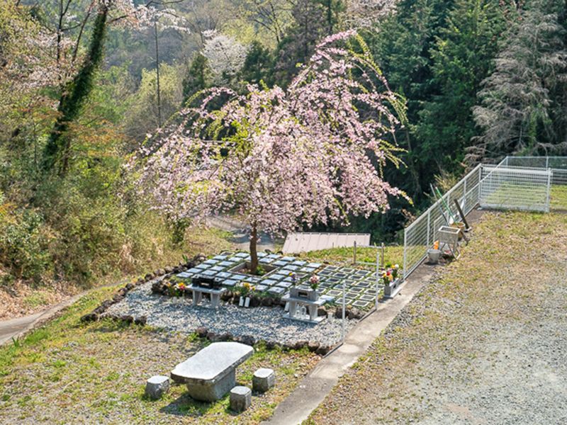 山名霊園　樹木葬