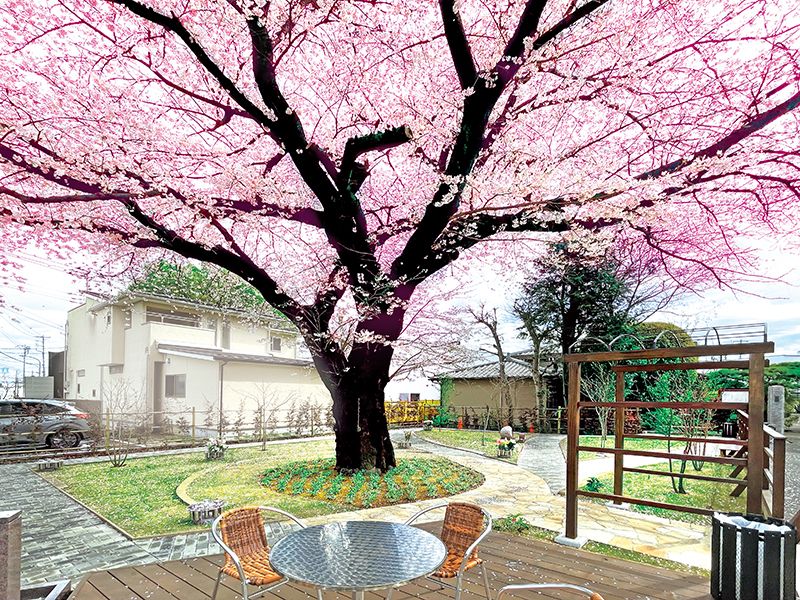 樹木葬 田無さくら庭園
