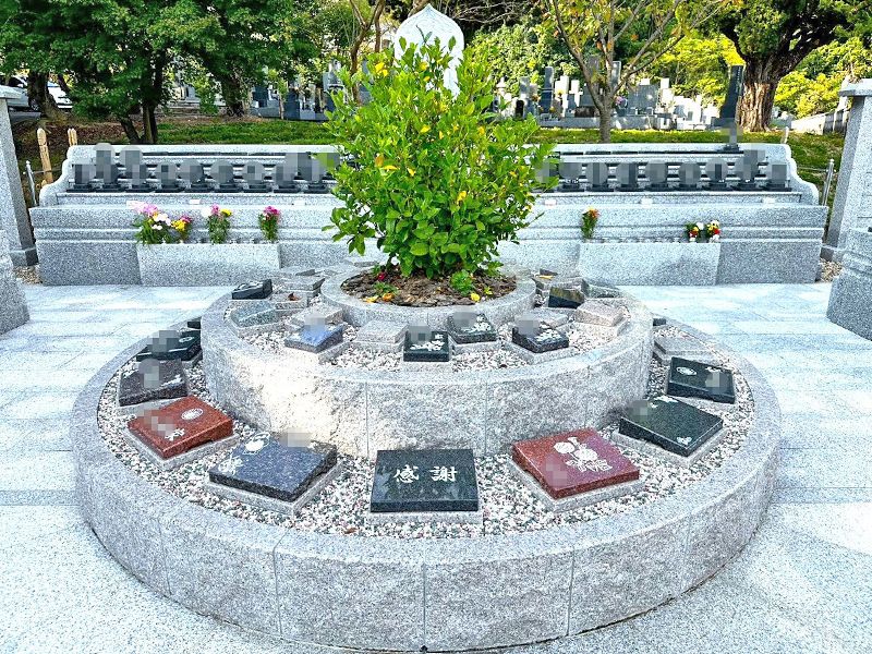 大泉寺 個別永代供養墓 樹木葬