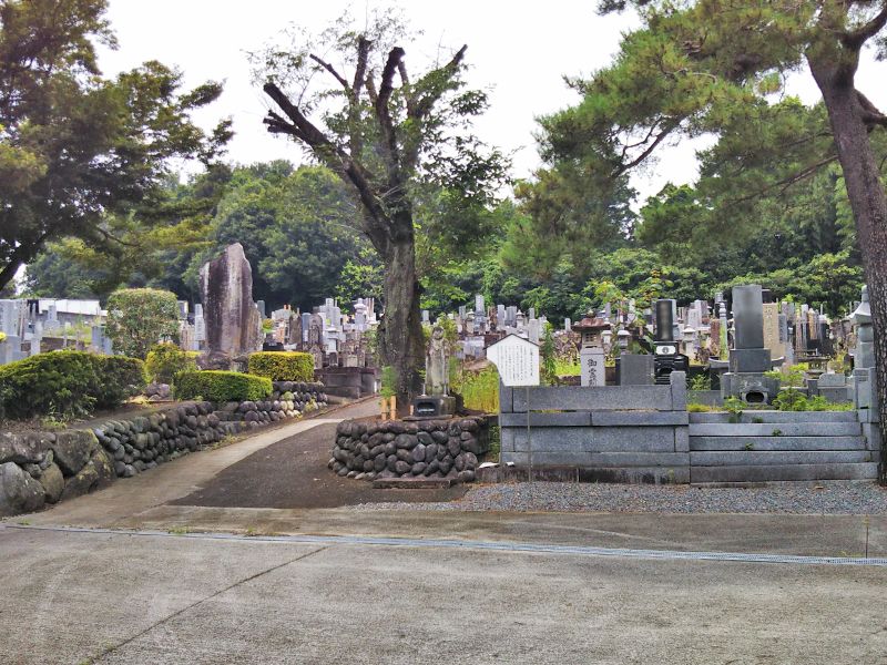 普門寺