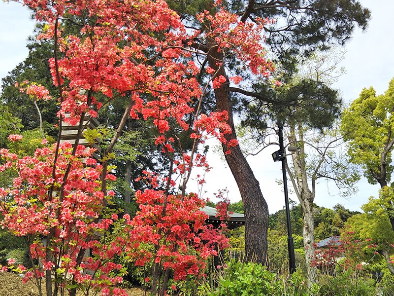 普門寺