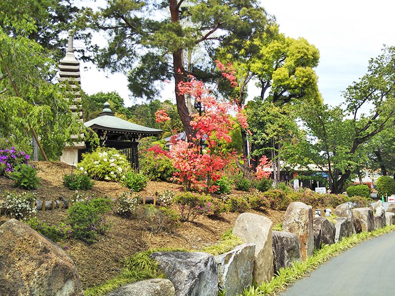 普門寺