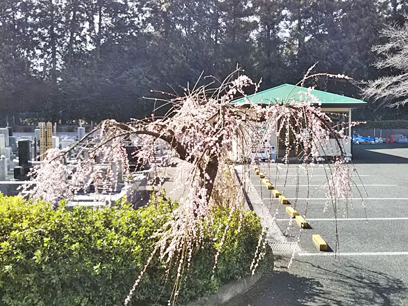 武蔵ヶ丘霊園