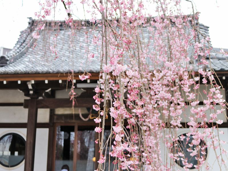 高楽寺