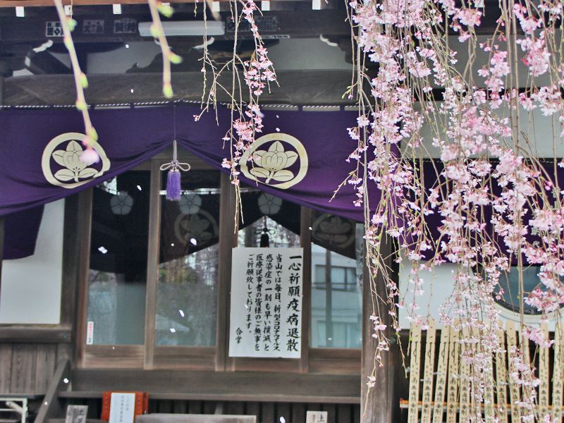 高楽寺