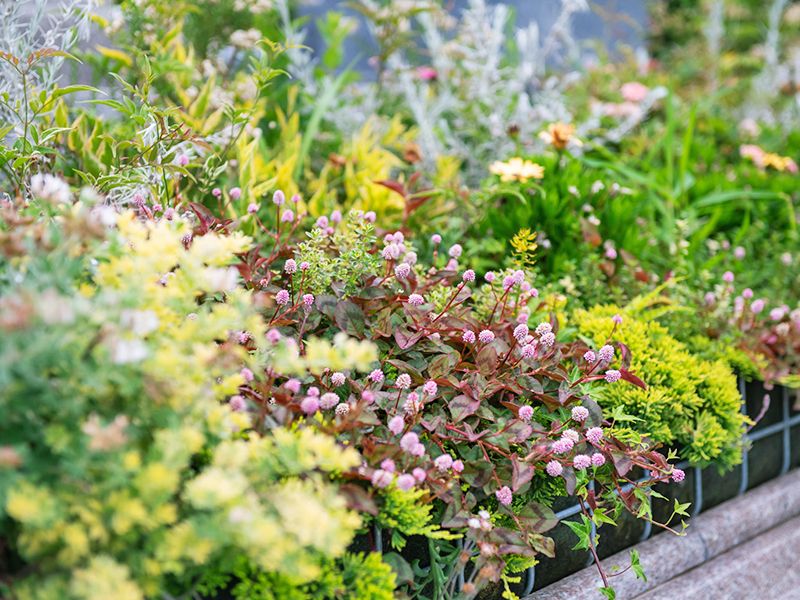 森林公園昭和浄苑