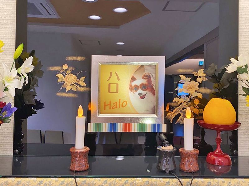 海泉寺 納骨堂 永代供養墓