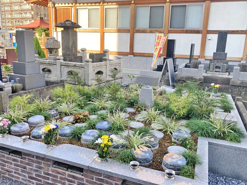 浄圓寺「プレミアム古河駅前樹木葬墓地」