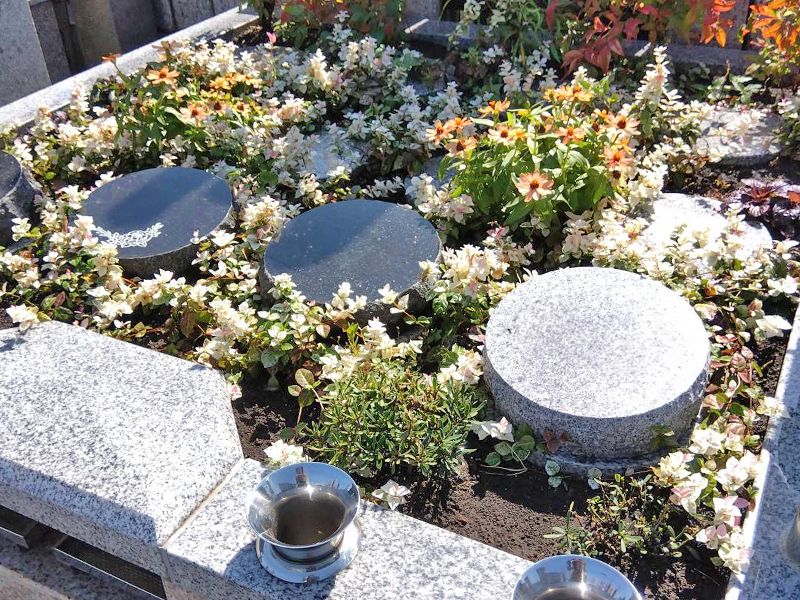 真照寺「プレミアム横浜磯子の杜樹木葬墓地」