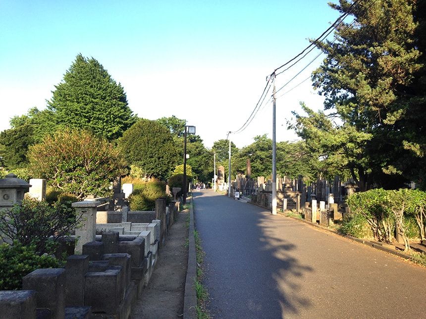 谷中霊園11