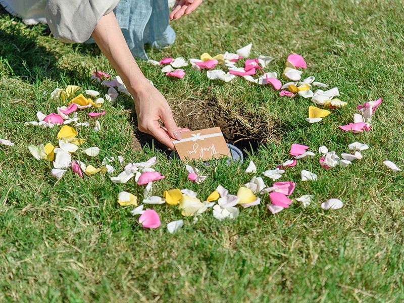 墓標のない新しい樹木葬