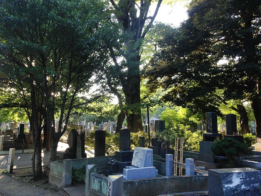 谷中霊園13