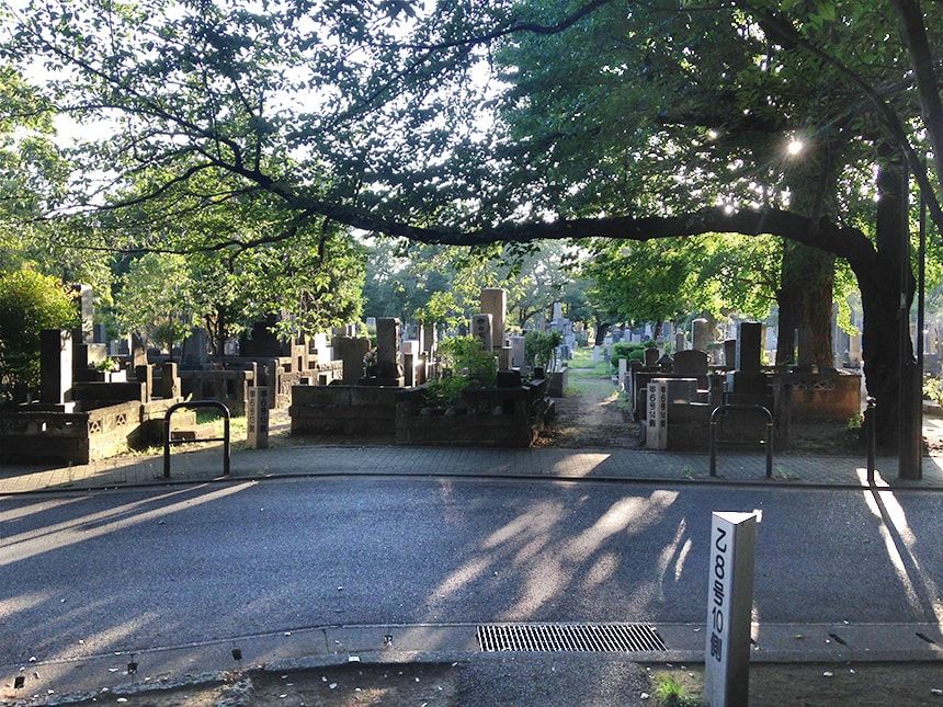 谷中霊園14