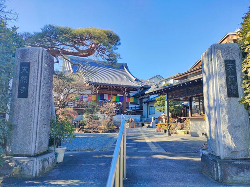 川越樹木葬さくら霊廟