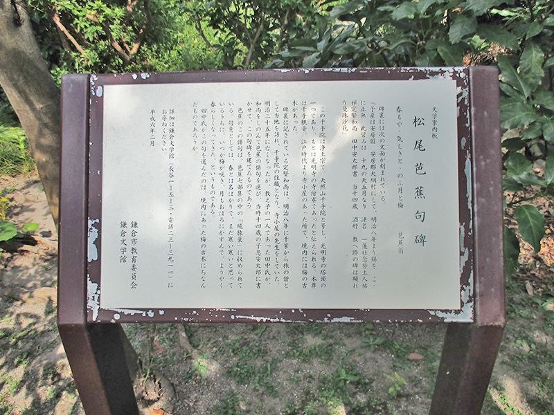 天照山 千手院