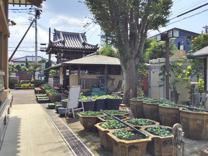 永福寺