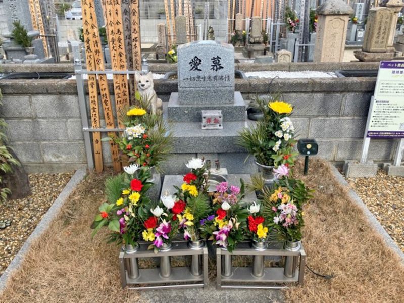恵運寺