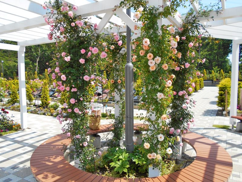 やすらぎの花の里 所沢西武霊園
