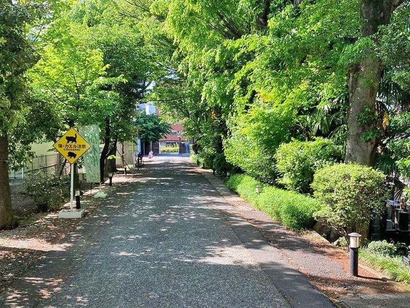 心地よい風の抜ける参道