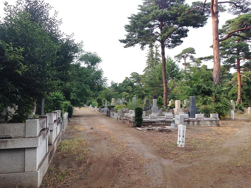 多磨霊園25