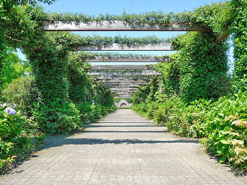 川越フォーシーズンメモリアル