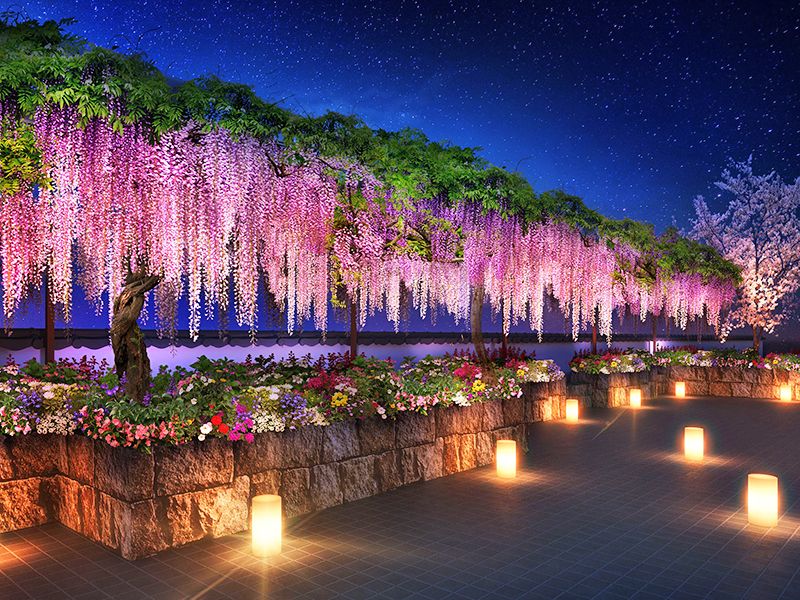 夜のお参りを始めました