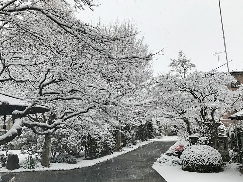 勝林寺