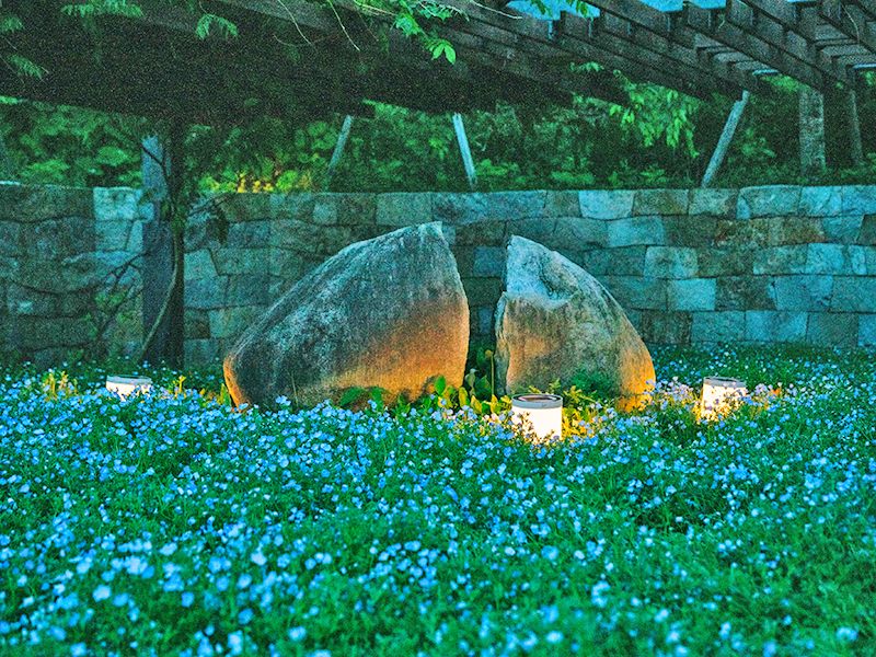 夜のお参りが始まりました