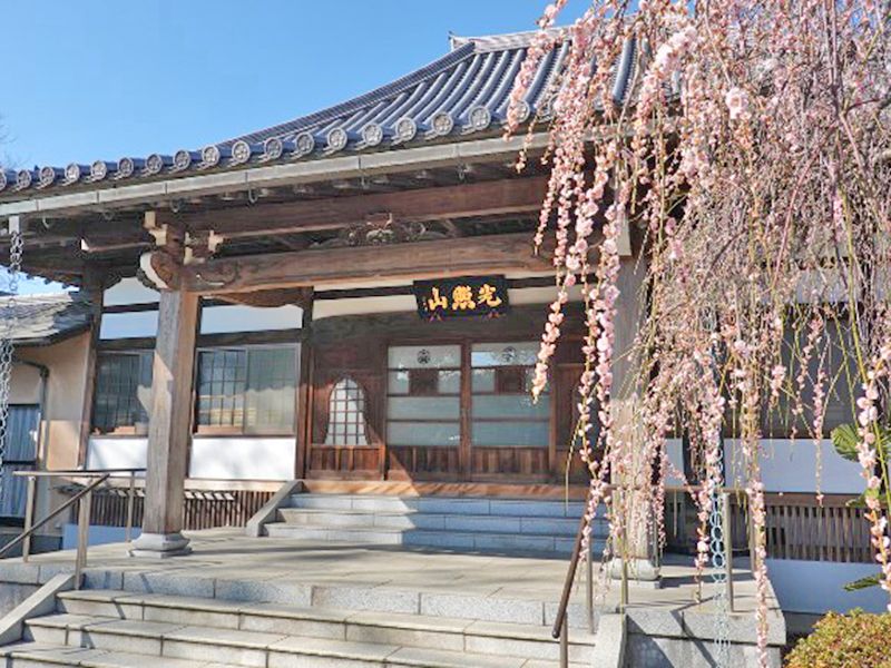 樹木葬 光照樹園