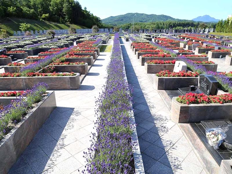 真駒内滝野霊園　墓域