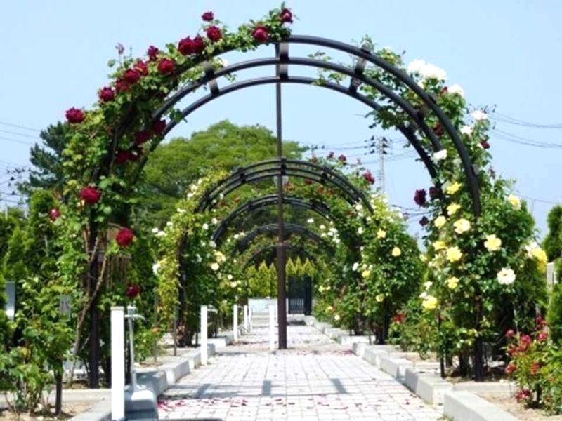 フジパーク霊園 新潟南