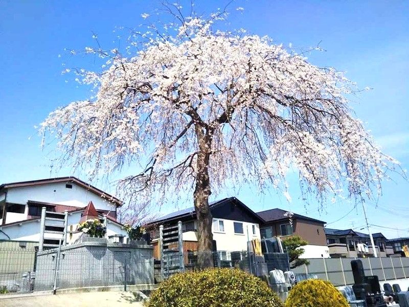 岩切ひだまりの丘妙運寺墓地