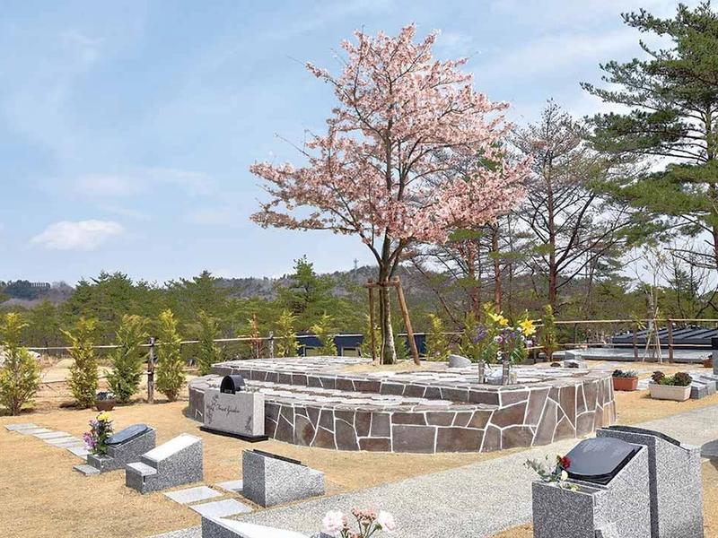 桜が咲き誇る樹木葬エリア