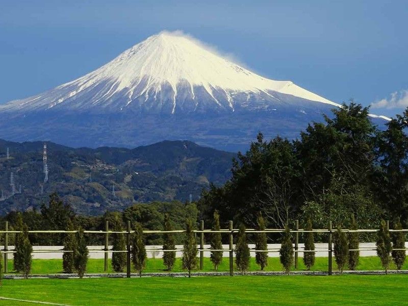 園内から見える富士山