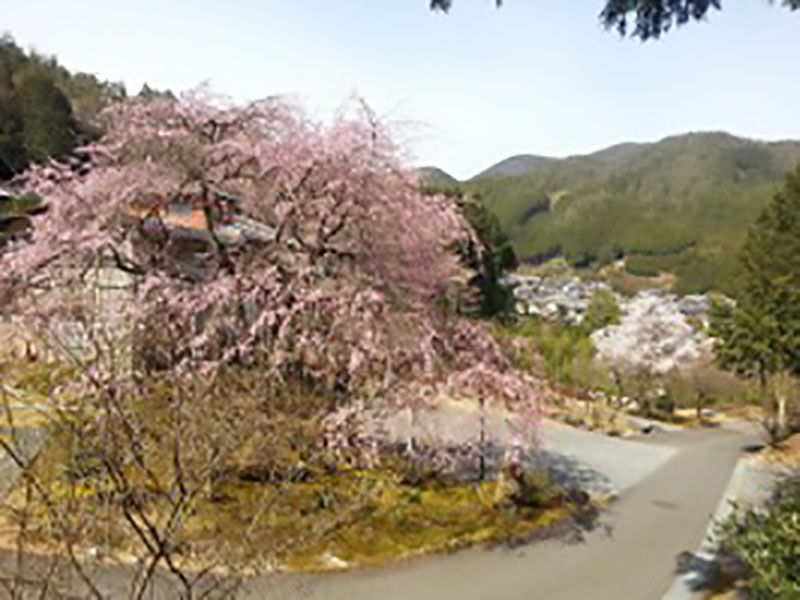 往生院