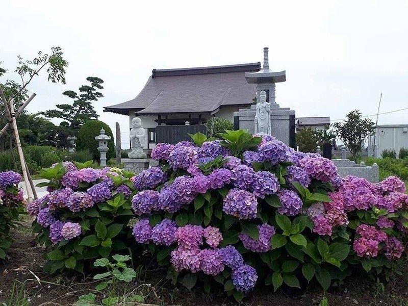 専光寺 永代供養墓