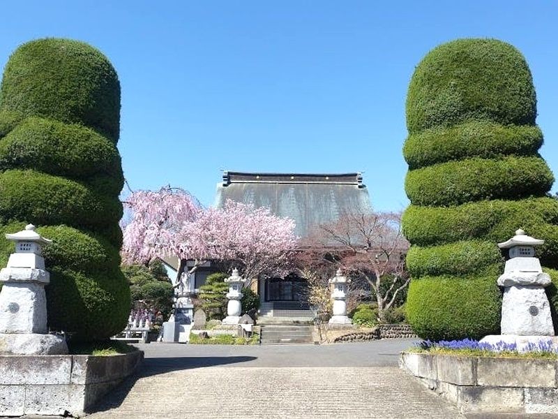 充国寺　外観