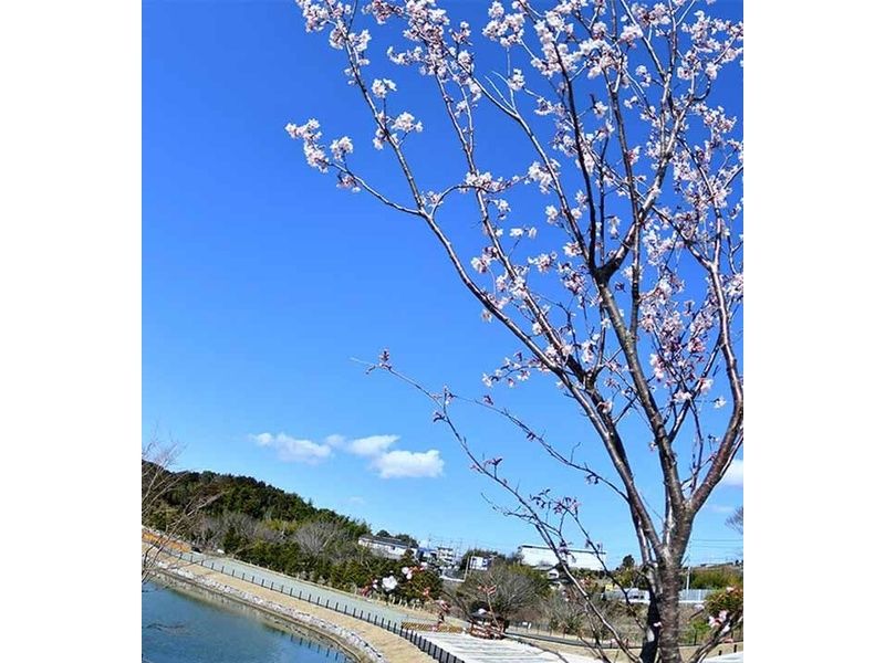 はままつ悠久の杜